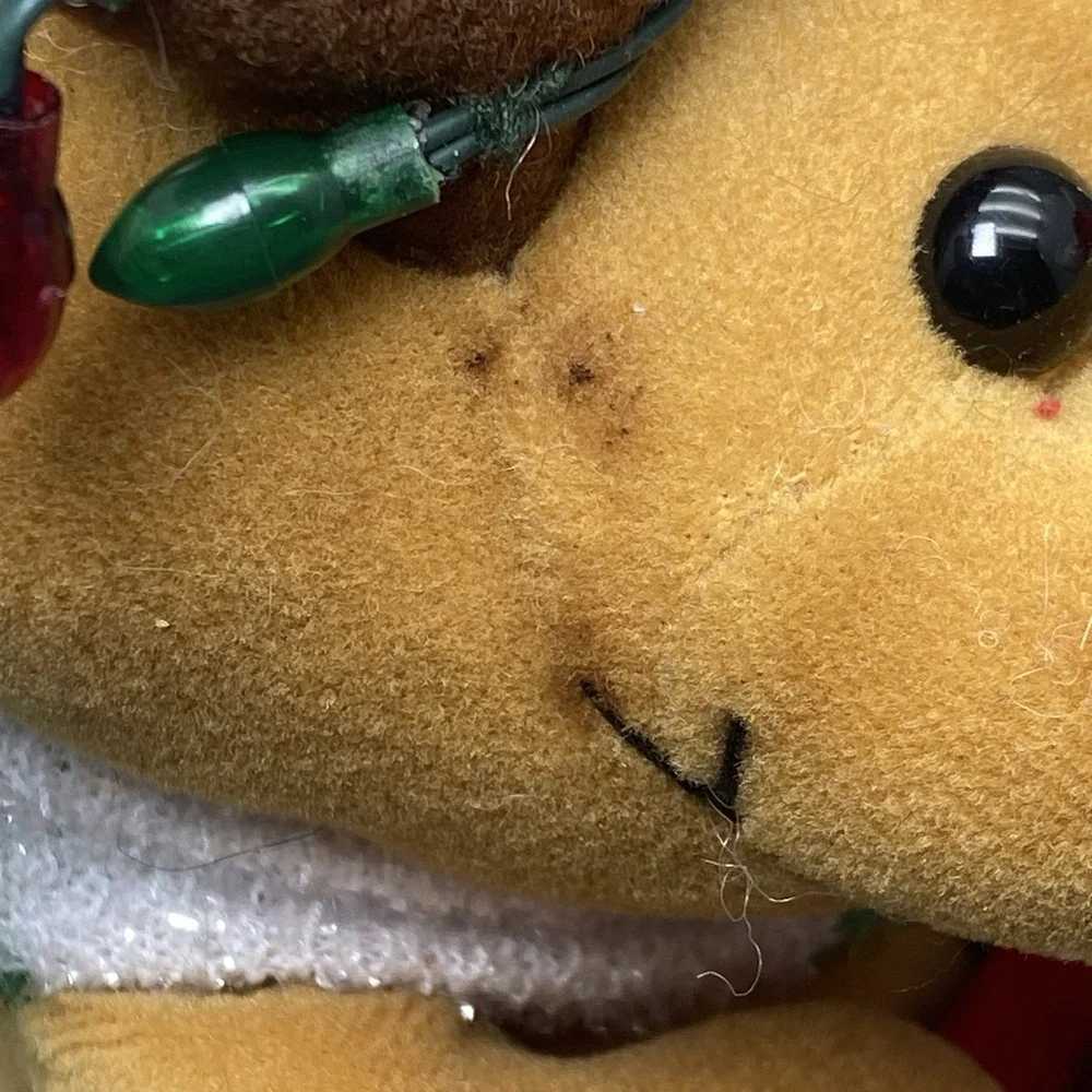 Gemmy box bottom damage